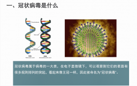 新型冠状病毒