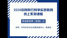 甲虫的世界（上）