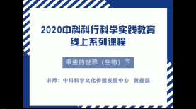 甲虫的世界（下）